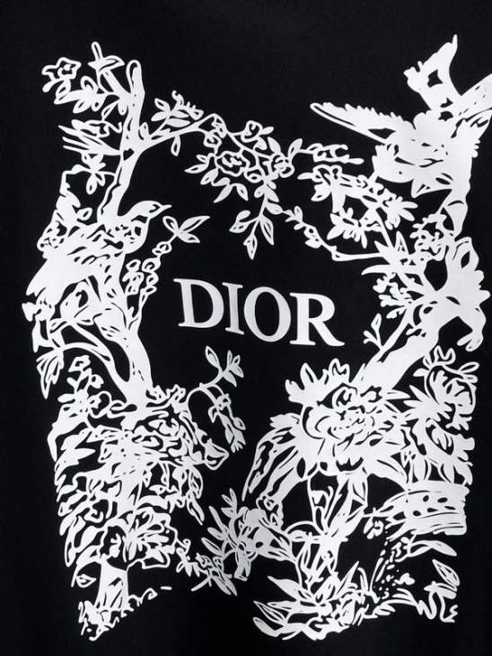 Dior T Shirts Short _SKUDiorL-4XLxetr24416395